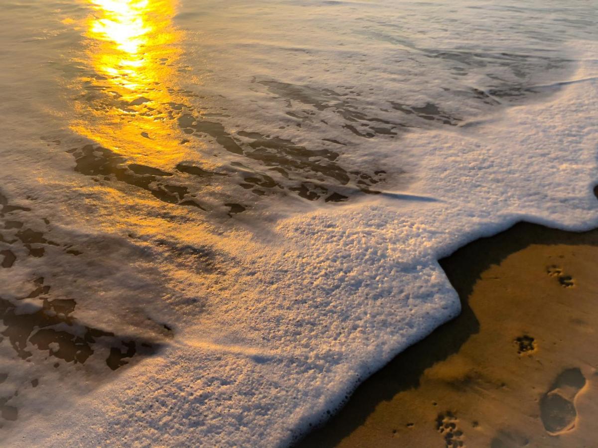 La Dune Du Bien Etre Maison d'hôtes La Couarde-sur-Mer
